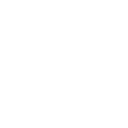 AutoMov